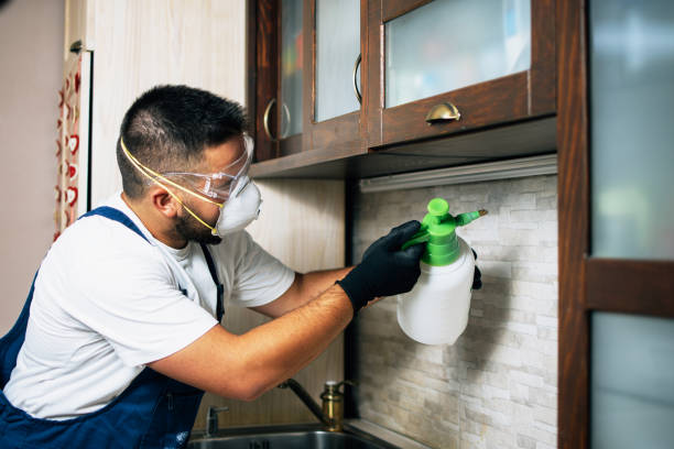 Best Insect Control  in Carrollton, OH